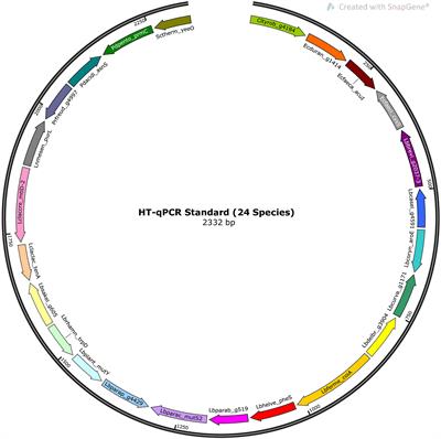 Development of a High-Throughput Microfluidic qPCR System for the Quantitative Determination of Quality-Relevant Bacteria in Cheese